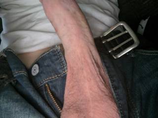 Trouser snake