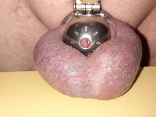 As short as this cage is, I found an even shorter one for hubby\'s little dick.
