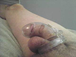 Early morning, nude, wearing my polycarbonate cage,