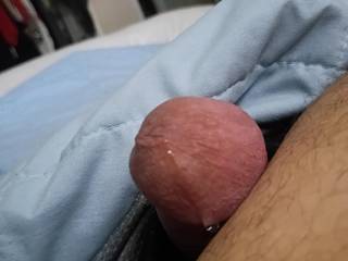 Which one you ladies is going to lick this pre cum off this thick head?