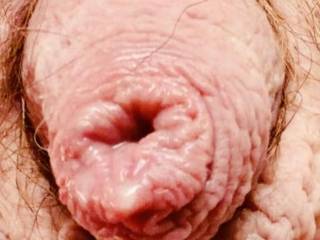 My sweet Willie wants you to rub him with your tongue