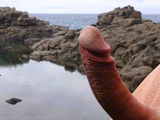 cock