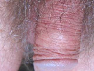 A close of my wrinkled dick 3 droplets/or a thread of my fluid as I stand...September 2025...S95 camera was used.