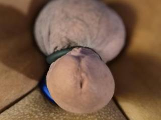 Cock and balls.