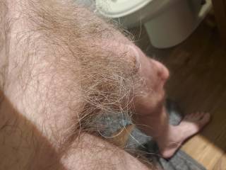 For all you bush lovers
All nestled in a hairy home

Leave it
Trim it
Or shave it