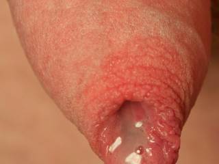 My cock