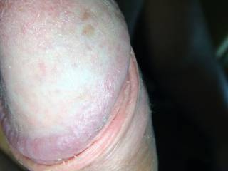 Cock