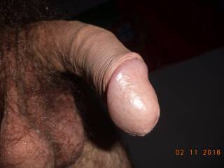 dick