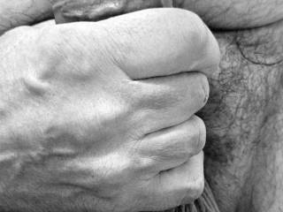 Erotic PHOTO of my COCK