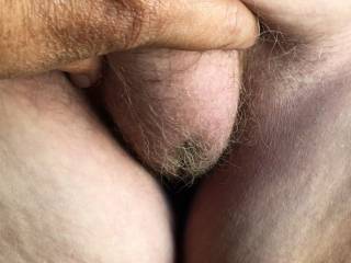 2 of 2 - Happy Hairy Holidays :)