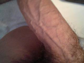 My hard cock