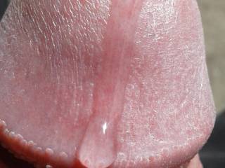 Close up precum outside