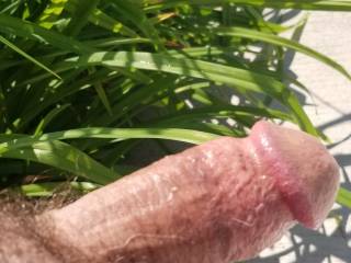 gettin some sun