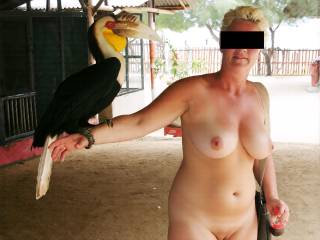 In a swingersresort they had some anmials