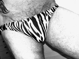 Stripper Pose in a pair of Zebra Print Thong