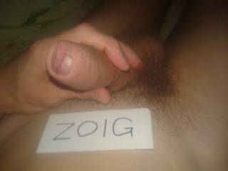 home photo for zoig