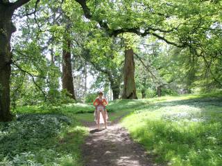 A nice sunny day out in the fresh air, following social distancing guidelines!