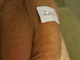 Zoig verification