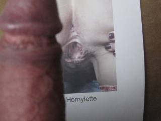 tribute to Hornylette