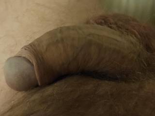 Do you like my cock?