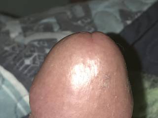 More cock head. What do you all think ??