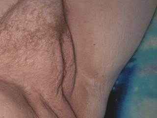 Trimmed, from clit to tail, the rest is nice and furry