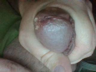 Starting to burst with a little pre-cum!  Anyone want a taste?