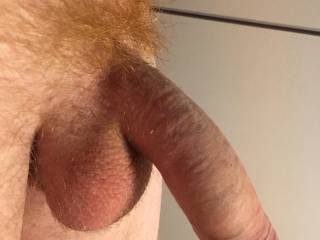 What do you think about my red hairy dick ?