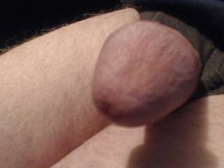Head swelling up nicely stroking with others
