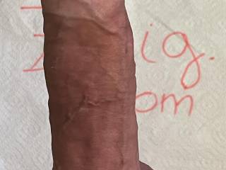 Cock picture of the day, 2025-08-01