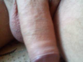 uizuio