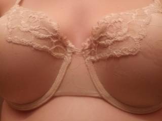 Tell me what you think of my new bra!