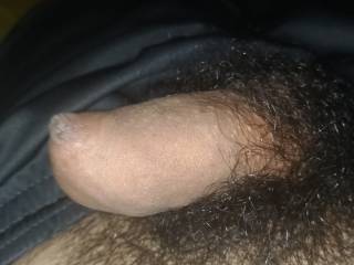 dick