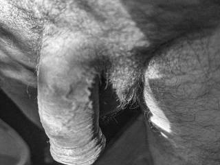 dick