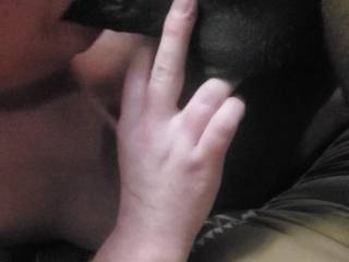 My hot wife with another BBC in her mouth
She\'s such a good little cock sucking slut !!