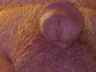 My cock and balls close
