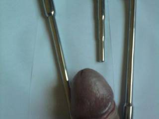 penis plugs .cock sounding .urethral play
