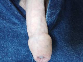 My long uncircumcised penis hanging out of my blue jeans again!