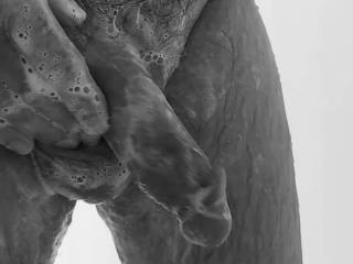 a nice close Shave