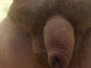 Early morning view of my cock and foreskin