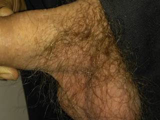 What do you think...would you suck my balls  ??
