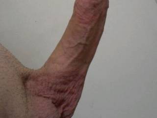 so glad you enjoy showing that big beauty mmm luv you to fuck my mouth with that    big cock mmmmm