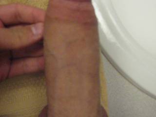cleaned and shaved ready to go