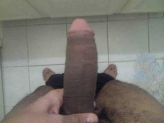 cud b urs