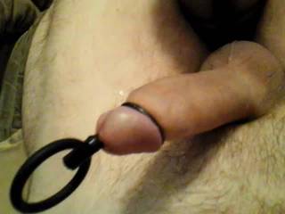Playing with a friend, hard, plugged with a tight glans ring, pulsing and twitching.
