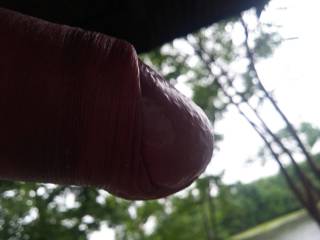 dick
