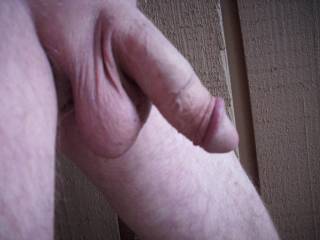 this is bout as limp as it gets. while taking photo outside the mail lady drove up. Aint the 1st time she's seen me naked.