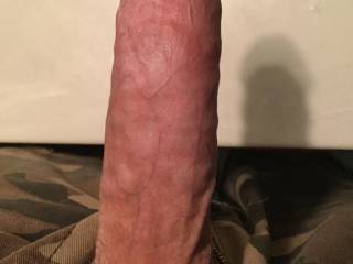 My cock, hard and happy.