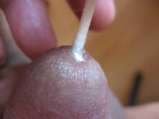When I get horny, I love to stick things inside my cute little cock.  Is that a Q-Tip that I see inside there?  My oh my, it's in there good.