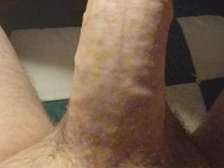 was feeling lonely and wanted some attention